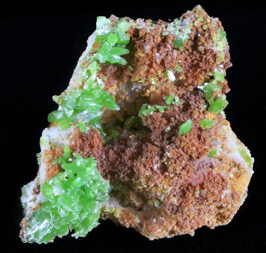 Pyromorphite Crystal Cluster - China #63676